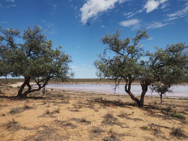 Landschap in het Hattah-Kulkyne NP, Australië